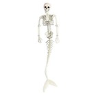 Full Body Skeleton Mermaid Life Size Poseable Jointed Skeleton Mermaid