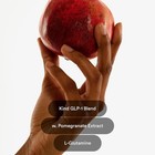 The Glp-1 Patch Contains L-glutamine  Berberine  Chromium  And Pomegranate