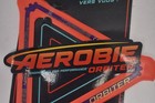 Aerobie Orbiter Boomerang 11 5  Ultimate Flying Toy For Kids Sprint Red-orange