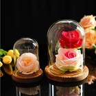 2pcs Glass Display Dome Cloche With Wooden Base For Home Wedding