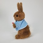 Peter Rabbit Beatrix Potter Eden Carrot Plush Frederick Warne 9  Blue Jacket