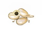 Delightful Antique French Palais Royal Shell Chamberstick  Granville  C1850