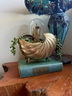 Vintage Midcentury Brass Nautilus Seashell Planter