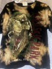 Vintage Jurassic Park Kids Graphic Tees Lot