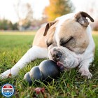 Kong Extreme Dog Toy - Fetch And Chew Toy - Treat-filling Capabilities And Er