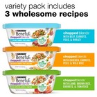 12 Pack Purina Beneful Gravy Wet Dog Food Variety Pack Chopped Blends 10 Oz Tubs