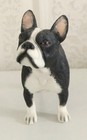 French Bulldog Dog By Leonardo - Perfect