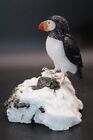 Peter Muller Hand Carved Obsidian   Quartz Puffin On Tourmaline Base 3 1 4  Tall