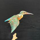 Taxidermy Bird Home Decor Dried Specimen Art Gallery Collection