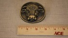 Vintage 1970s Cow Head Belt Buckles  Brass