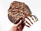 Imposing And Enormous Antique Edwardian Faux Tortoise Comb