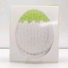 Clinique Sonic System Purifying Cleansing Brush  Head Replacement Only 