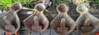 Antique Vintage Matching Set Of 4 Cast Iron Claw Feet  Bath Tub Claw Foot 7 X 5