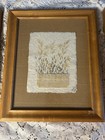 Set Of 3 Framed Botanical Artwork Prints