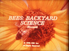 16mm -bees  Backyard Science - 1978 Cbs