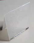 Northern Flurry Retired Stampin  Up Embossing Folder