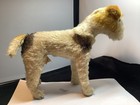    fox Terrier By Steiff From Us Zone Germany Tagged On Thigh Exc Cond 8 5 Inches