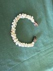 Hawaiian 100  White Momi   Cowry  Bracelet 7   1 2