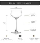 Joyjolt Set Of 2 Bloom Coupe Crystal Glasses 9 2oz Martini Brand New