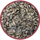 Pennington Select Black Oil Sunflower Seed Wild Bird Food Dry Feed Bulk 40 Lb