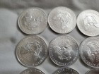 Roll Of 20 2003 1 Oz Bu  999 Silver American Eagle Coins original Roll  W tube