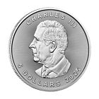 2025 1 Oz Canada Silver Maple Leaf  5 Coin Bu - In Stock