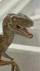 Papo Velociraptor Dinosaur Figure Rare Variant Prehistoric Collectible
