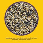Lyric Finch Wild Bird Seed  Small Songbird Bird Finch Food - 5 Lb  Bag
