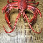 Realistic Plastic Lobster Figurine 10    Lifelike Seafood Display Prop Toy Decor