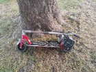 Goped Sport Gas Scooter