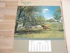 Nos 1951 Wesley L  Bruey Creamery Nofolk Conn Calendar Down On The Farm