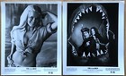 Evil In The Deep 1976 Original U s  Set Of 21 Movie Stills Near Mint
