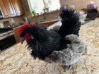 Hansa 10  Hen 6037 With Tags Beautiful Plush