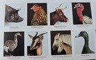 Mint Us Heritage Breeds Pane Of 20 Forever Stamps Scott  5583-5592  mnh 