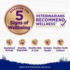 30lbs Wellness Complete Health Large Breed Puppy Dry Dog Food Chicken Salmon New