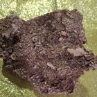 Crinoid Fossil Stem