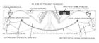 Speaker Construction Plans For The Jbl Paragon D44000    cdrom 