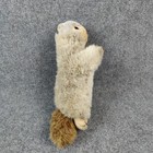 Steiff Squirrel Marmot Molly Piff Stuffed Animal Vintage Button Only No Ear Tag