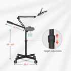 Professional 2-in-1 Facial Steamer  Ozone Face Steamer With 5x Magnifying Lamp D