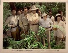 8x10 Movie Stills Johnny Weissmuller  Lex Barker  Buster Crabbe Tarzan   Jungle