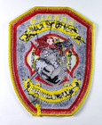 Dekalb County  Georgia Fire Department Engine Ladder 20 Patch - New