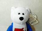 Massachusetts State Bear   Quarter 6th Limited Treasures Coin Plush Beanie