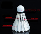 12 Pcs Professional Real Feather Premium Shuttlecock Badminton Ball Brown Pack