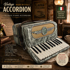 Vintage Italian Accordion 12 Bass Piano Accordion Pearloid Art Deco Made In Ital