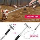 Portable Dog Catcher Pole - Stainless Steel Animal Control Tool For Farms