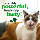 Greenies Natural Dental Cat Treats  Salmon Flavor  9 75 Oz Tub  Vet Recommended