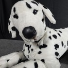 Fao Schwarz Dalmatian Dog Plush Stuffed Animal 26 Inch Realistic Laying Spots
