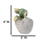 Adorable Green Baby Dragon Hatchling Cracking Out Of Egg Shell Figurine 4 h