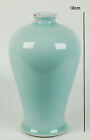 Rare 18th Century Kangxi Qing Dynasty Chinese Monochrome Meiping Porcelain Vase