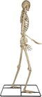 Halloween Giant Poseable Skeleton Decoration Bone Color 10 Ft